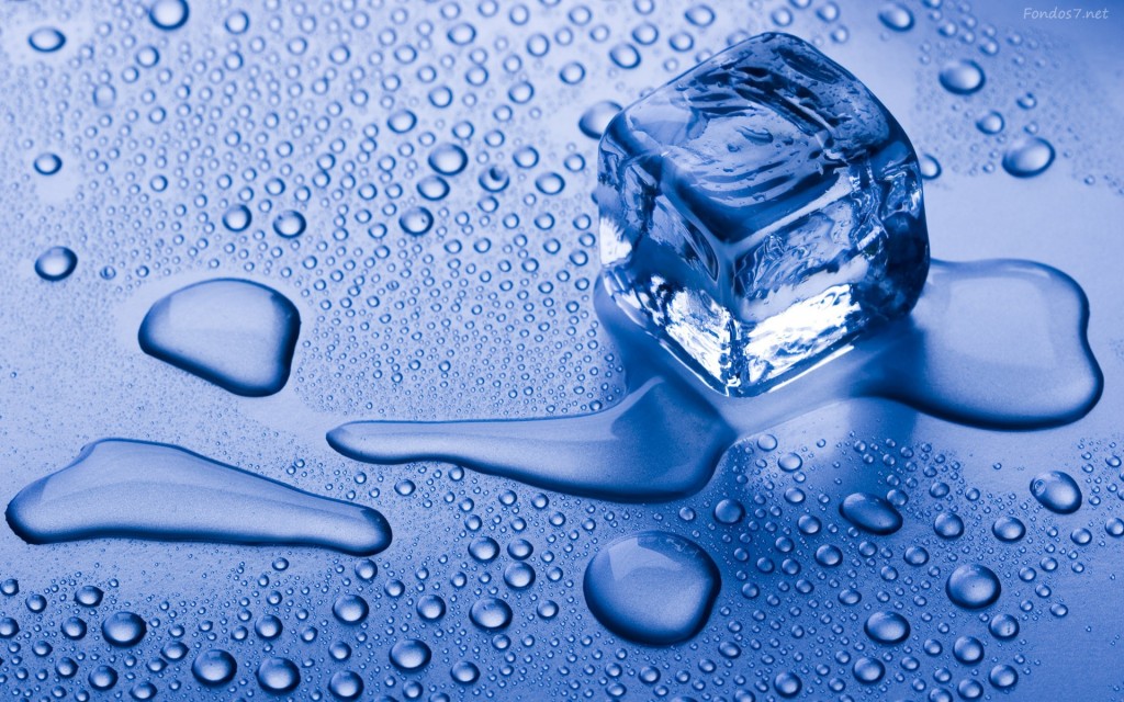 FRED O CALOR?